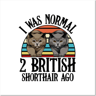 British Shorthair Cat Posters and Art